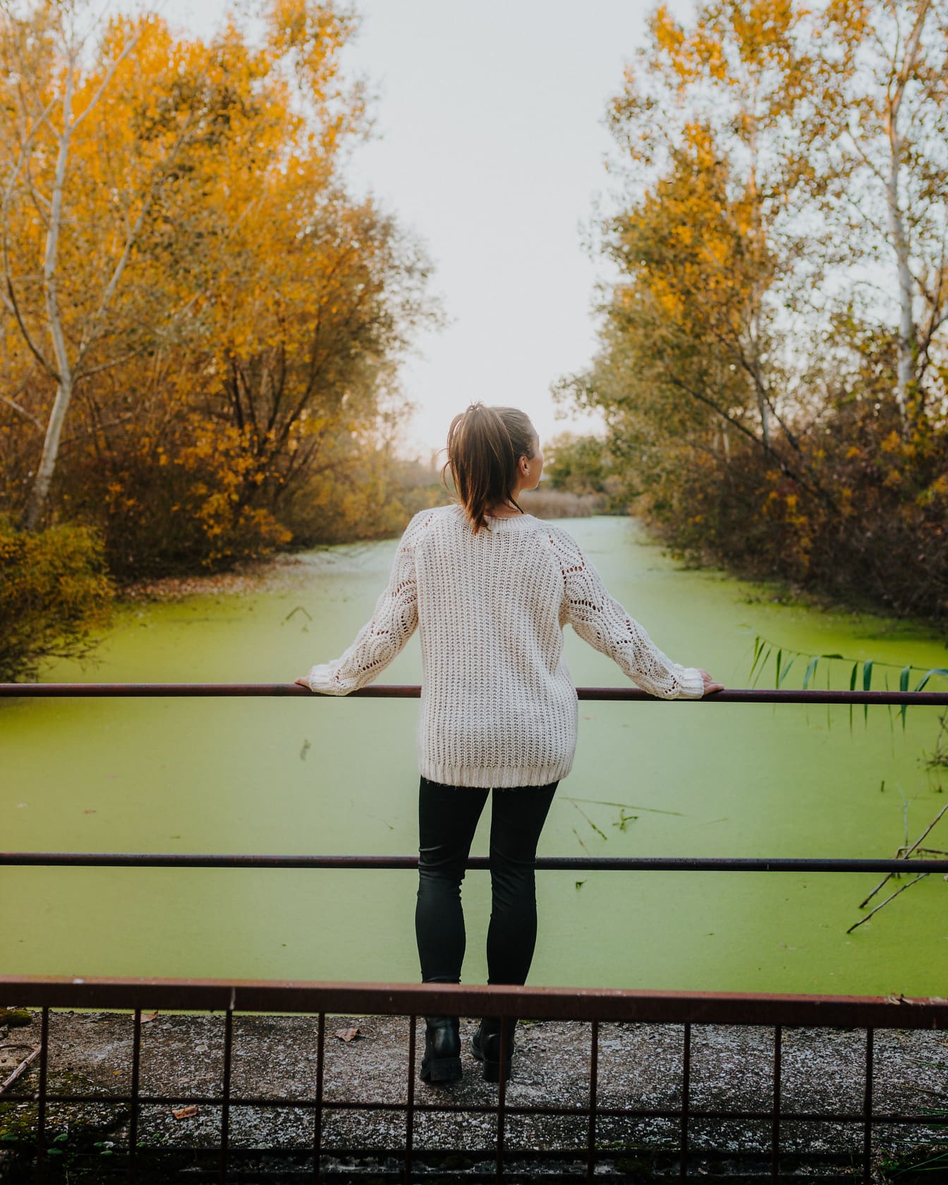 Model foto pozând în pulover pe podul mlaștinii