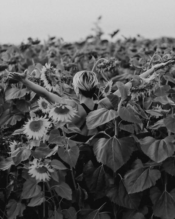 Happy young woman with hands up in sunflower field monochrome photograph