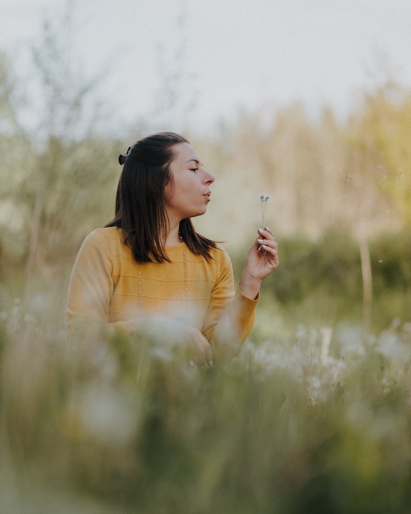 Brunette young woman sitting in dandelion field