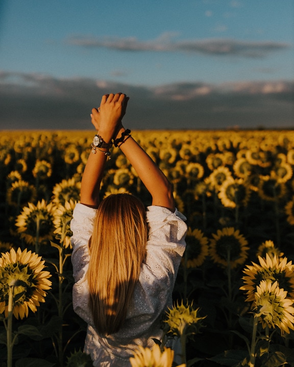 Happy woman with hands up in sunflowers at afternoon