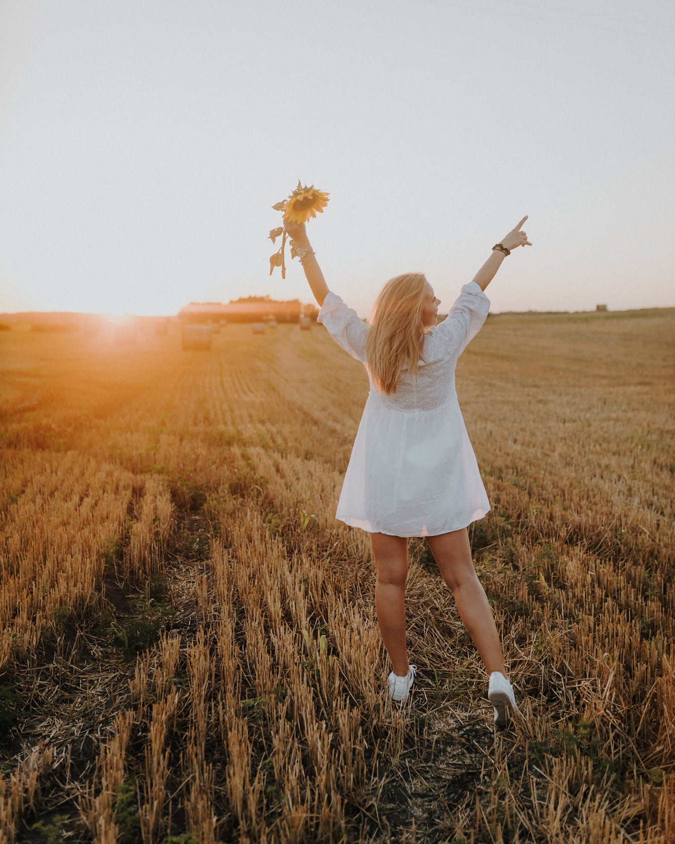 Mulher jovem feliz que está no campo de trigo ao pôr do sol