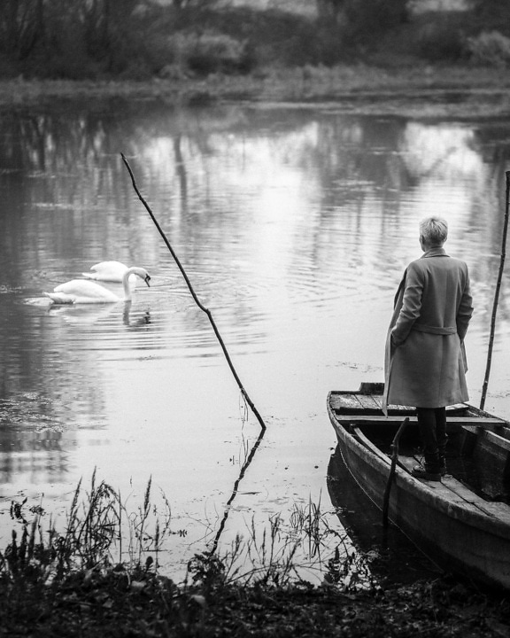 Person, die im Boot steht und Schwanenvögel genießt, monochromes Foto