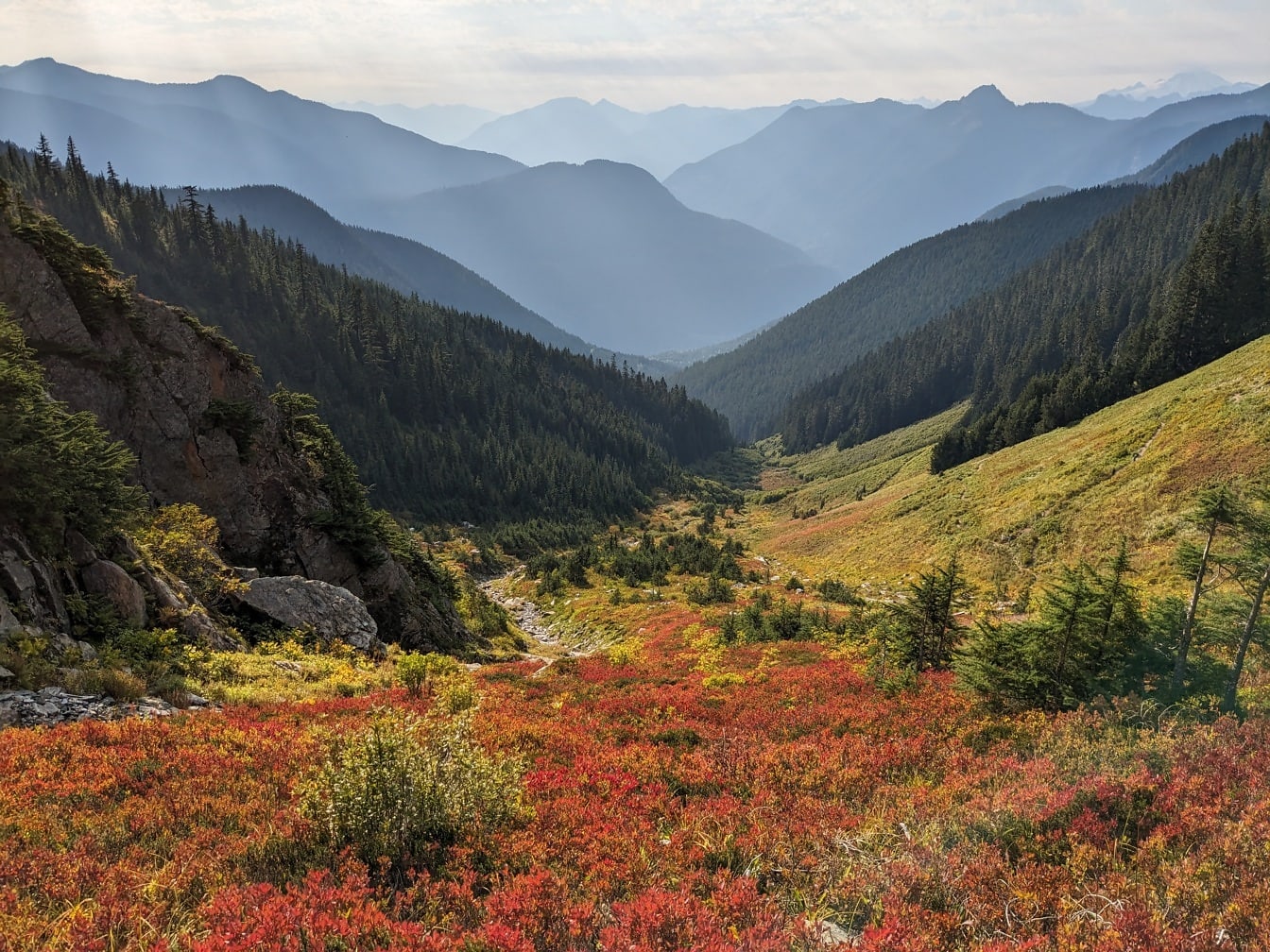 Lembah warna-warni berkabut dalam foto panorama musim gugur