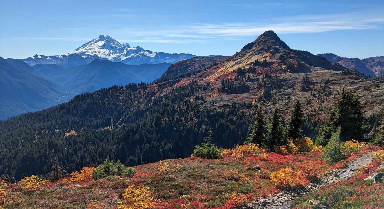 Panoramabilde av fjellsiden i høstsesongen