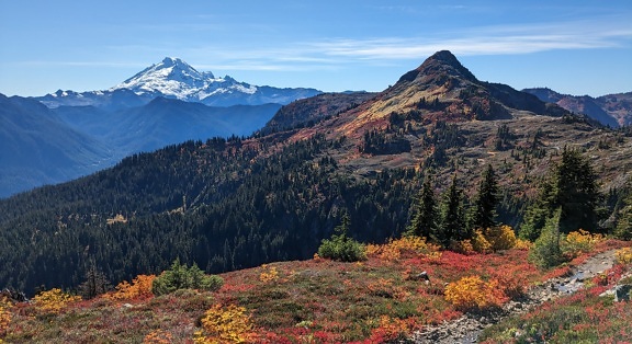 Panoramatická fotografie úbočí hory v podzimním období