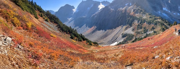 Panorama of valley in America natural park in autumn season