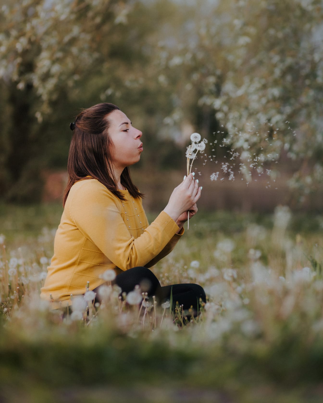 Pretty woman blowing dandelion flowers outdoor