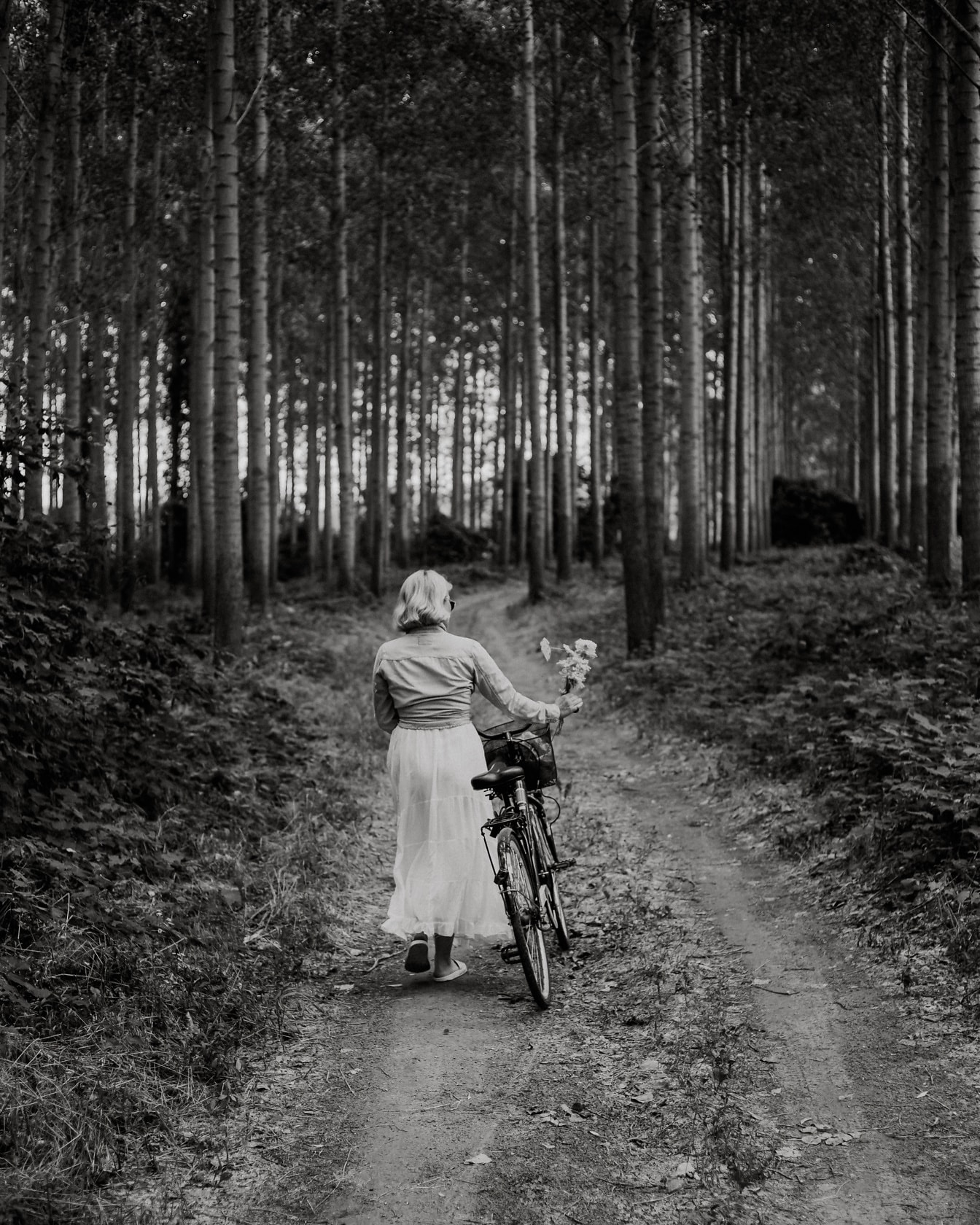 Monokrom bilde av kvinne med sykkel på skogsvei