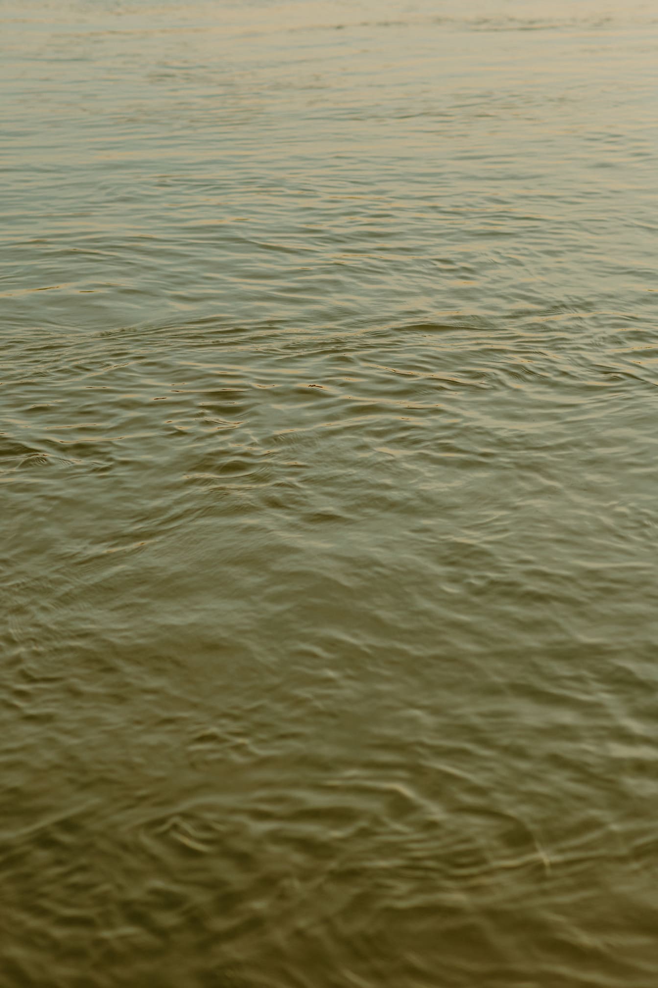 Ορίζοντας με ήρεμα κύματα στον ποταμό Δούναβη κοντινή φωτογραφία