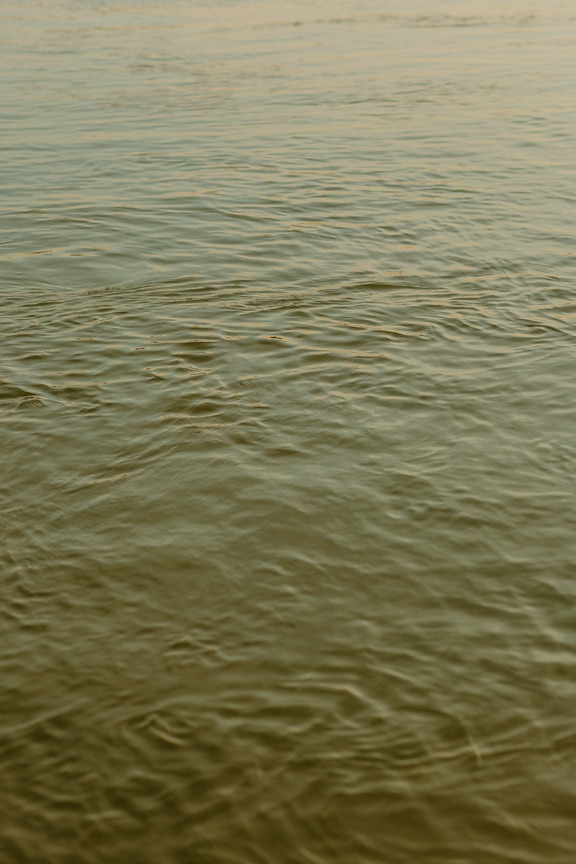 Horizon with calm waves on Danube river close-up photo