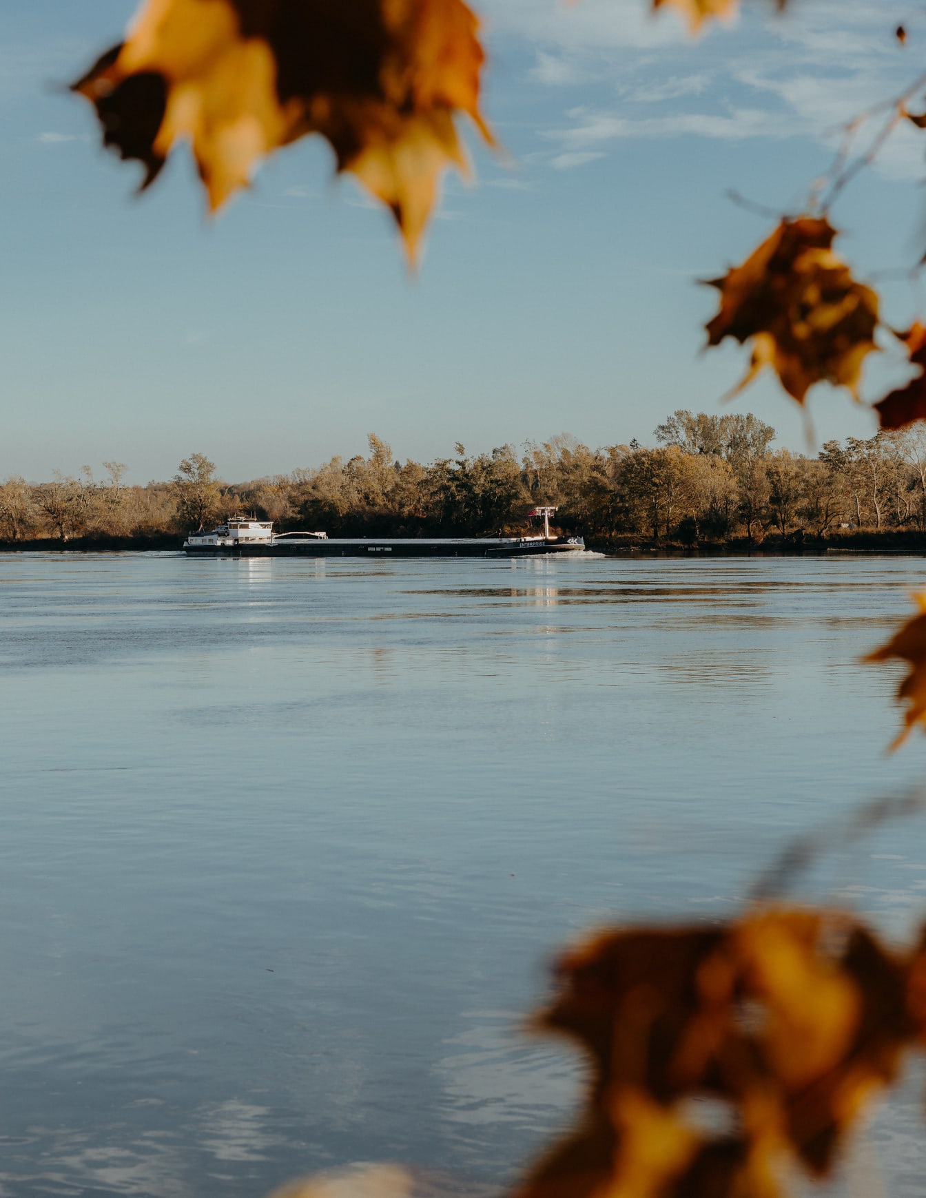 Herbstlaub am Flussufer mit Binnenschiff in der Ferne