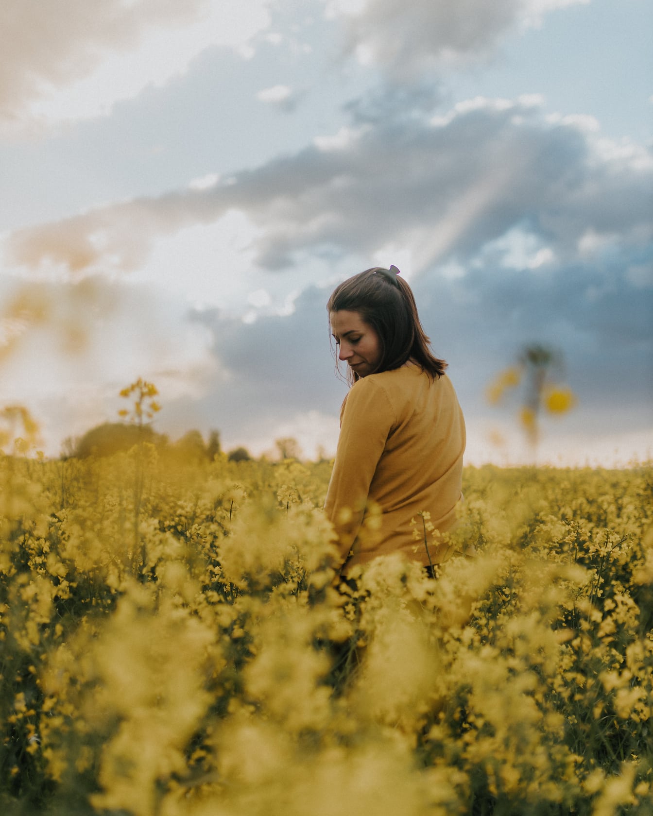 Bonita morena en suéter amarillento de pie en el campo de colza