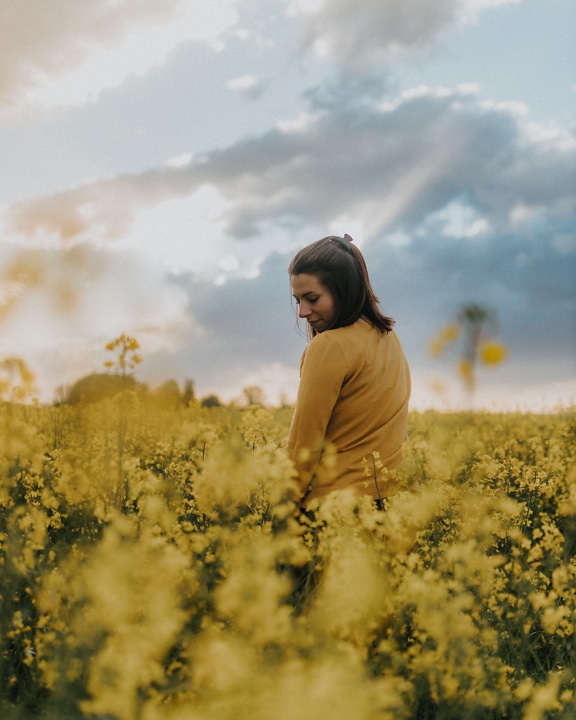Bella bruna in maglione giallastro in piedi nel campo di colza