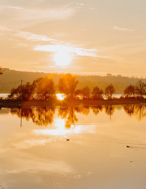 Оранжево-желтый яркий восход солнца на берегу озера с отражением в воде