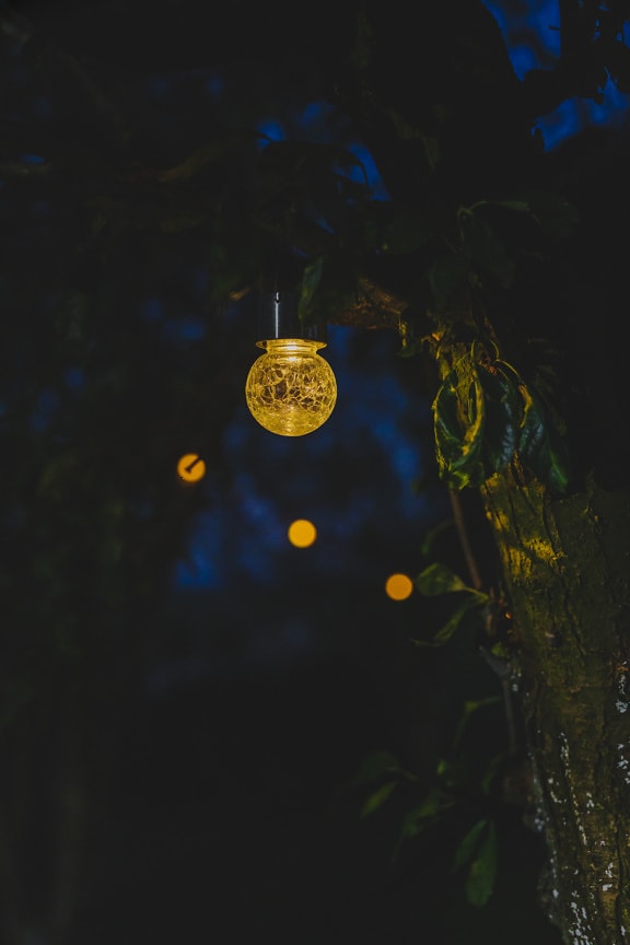 Yellow golden glow light bulb hanging on branch in darkness