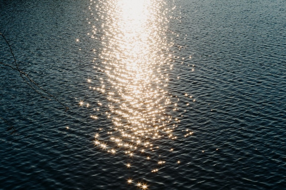 Guld- glöd solstrålar reflektion på vattenytan