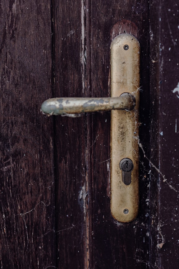 Golden shine metal door handle with cobwebs close-up