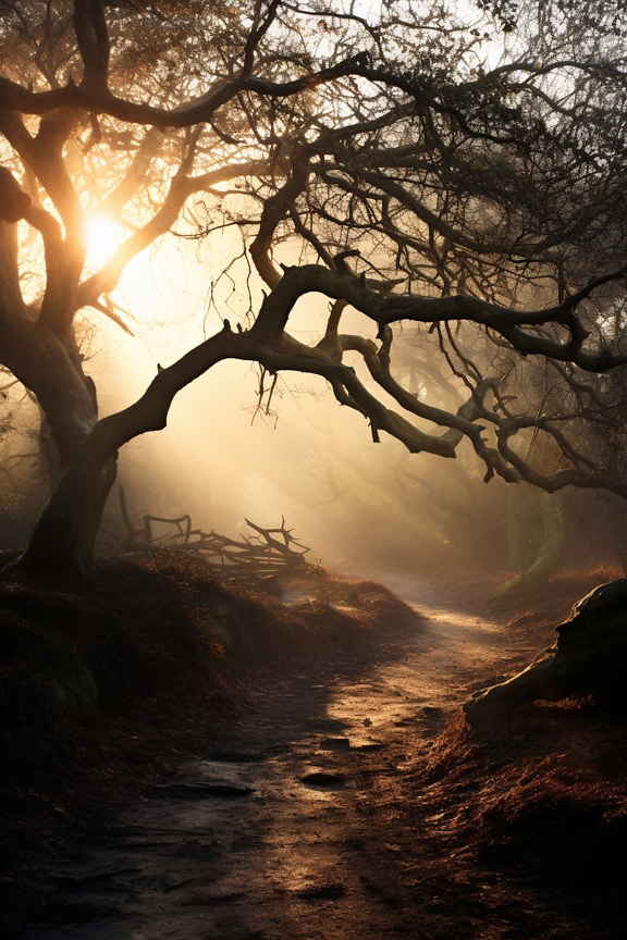 Albero maestoso con sentiero forestale e luce solare retroilluminata