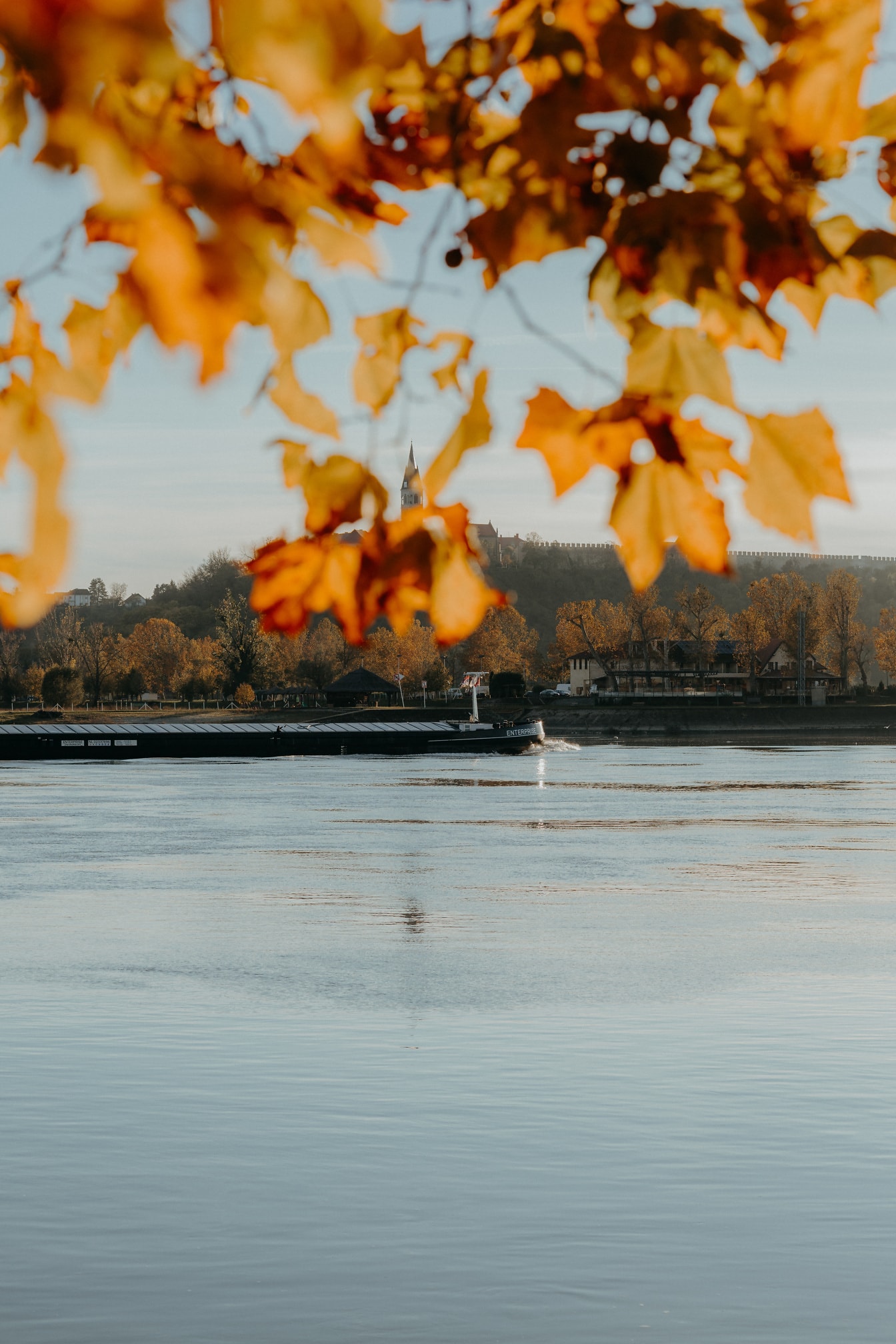 多瑙河与驳船和树枝上的秋叶