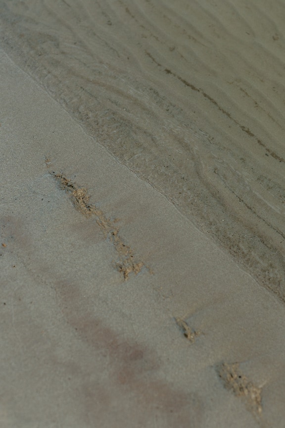 Wet beach sand texture close-up