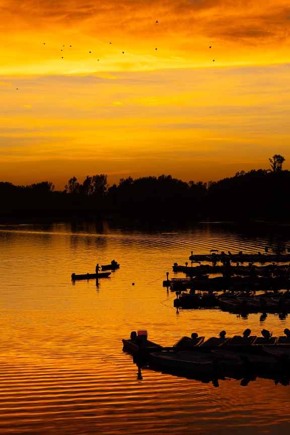 Levende oransje gul solnedgang med silhuett av båter i havn