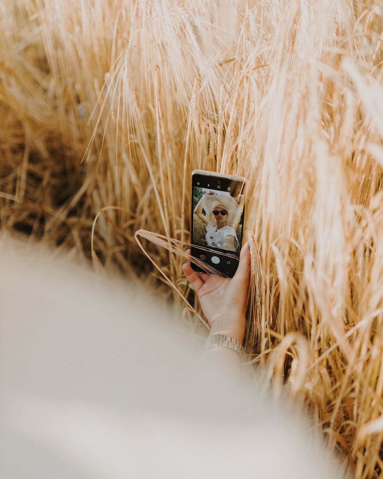 Blond med stråhatt tar selfiebilde med mobiltelefon i hvete