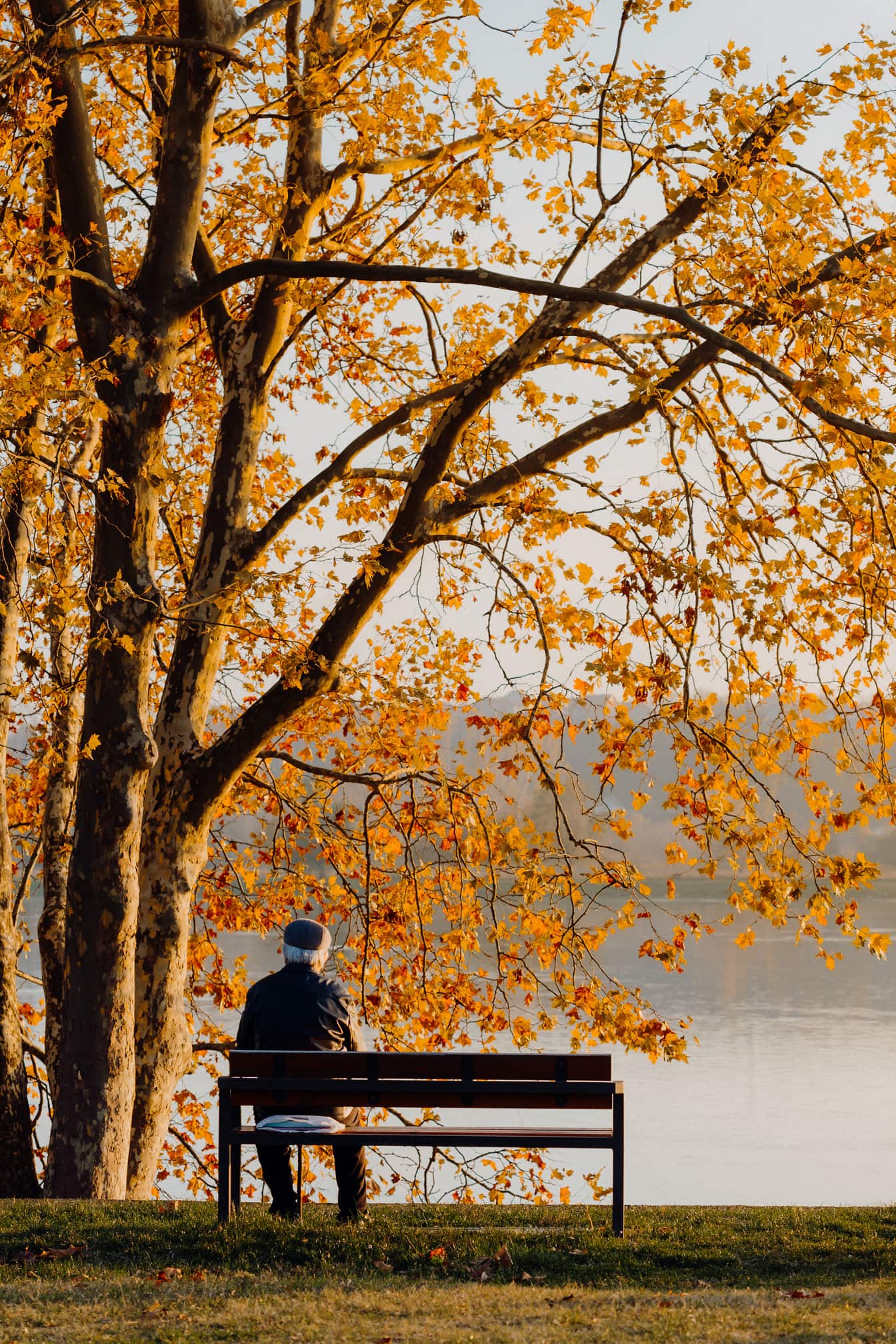 Starszy człowiek siedzi na ławce w parku w sezonie jesiennym