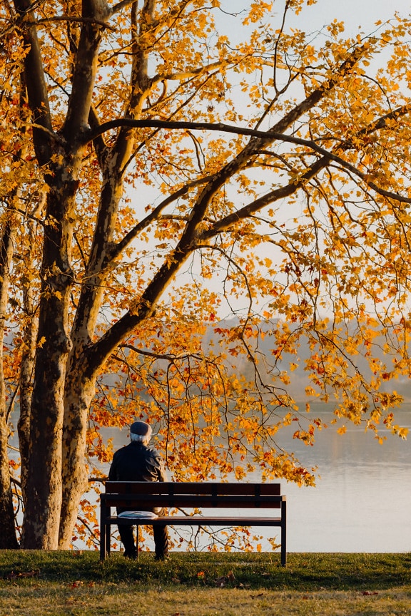 Gammel mann sitter på benk i park i høstsesongen