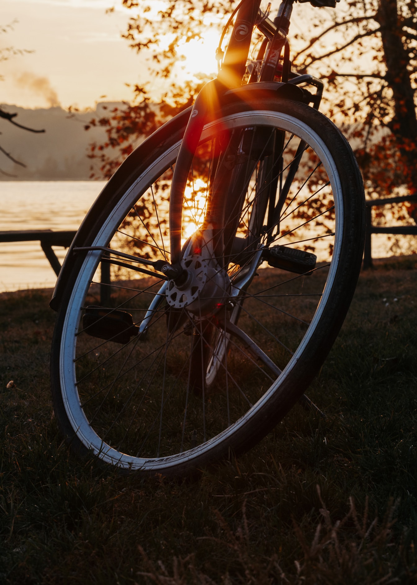 태양 광선을 배경으로 자전거의 타이어 클로즈업