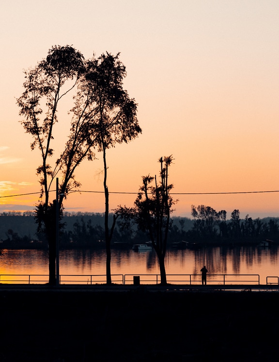 Reflexão do céu crepuscular no horizonte do lago com silhueta de árvores