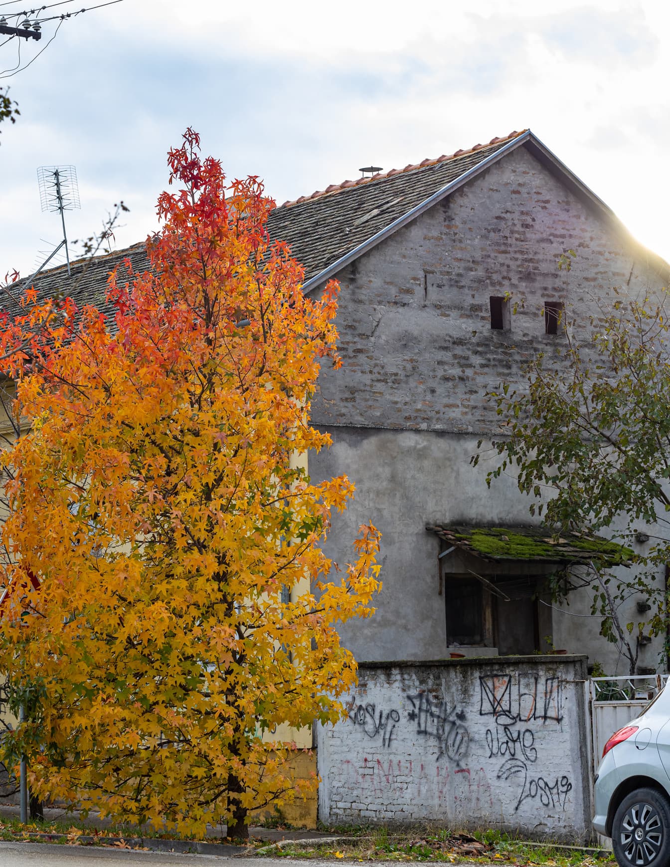 Hojas de color amarillo anaranjado en el árbol de la calle y casa en descomposición en el fondo