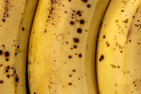 Tekstur close-up kulit pisang matang berwarna coklat kekuningan