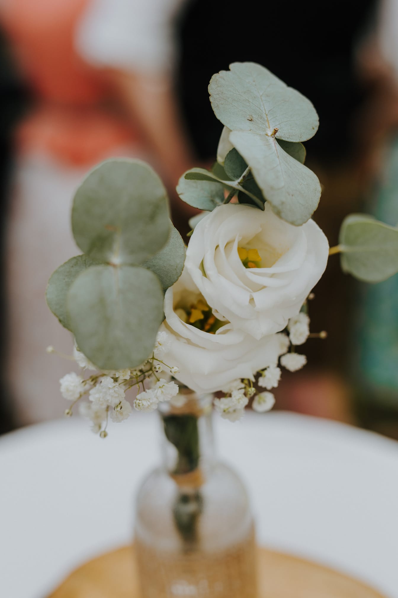 Fotografija pupoljaka bijele ruže izbliza u prozirnoj boci