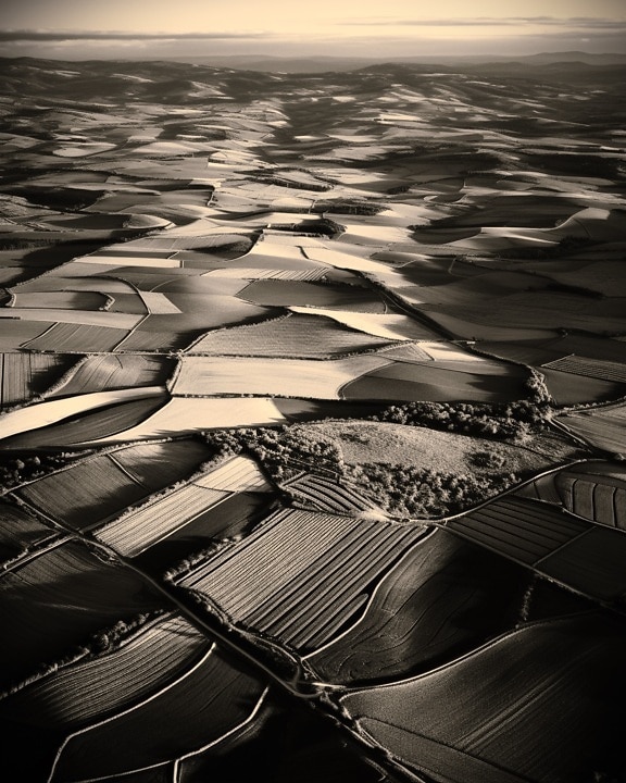 Monochrome aerial photo of agricultural fields in hillside