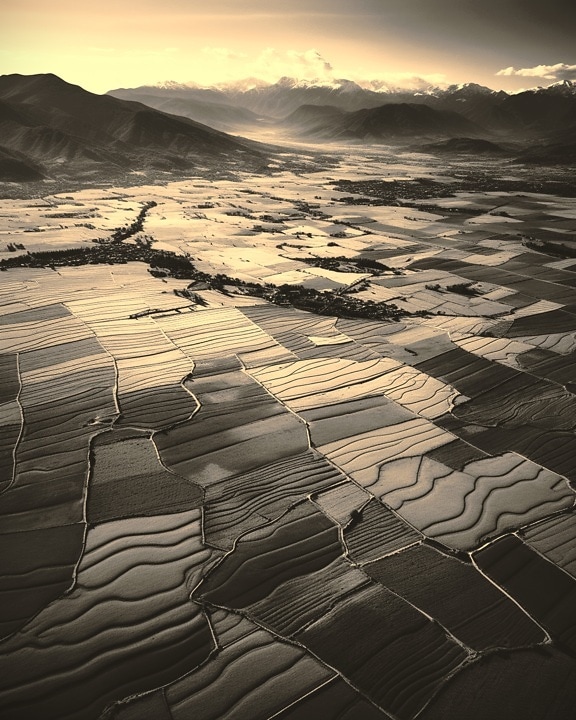 Sepia aerial photography of agricultural fields in valley