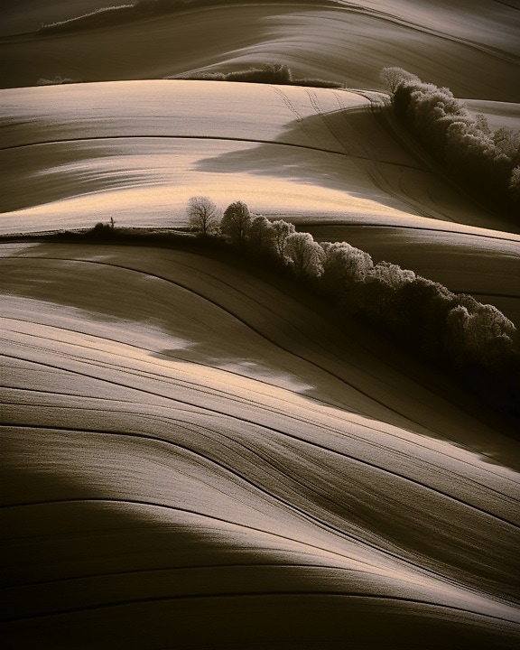 Sepia graphic illustration of agricultural fields