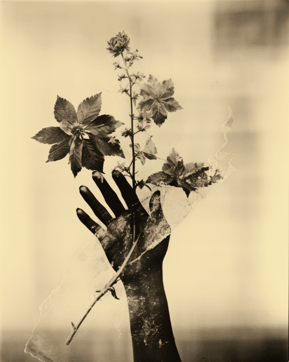 Sepia graphic of black hand with wildflowers digital illsutration