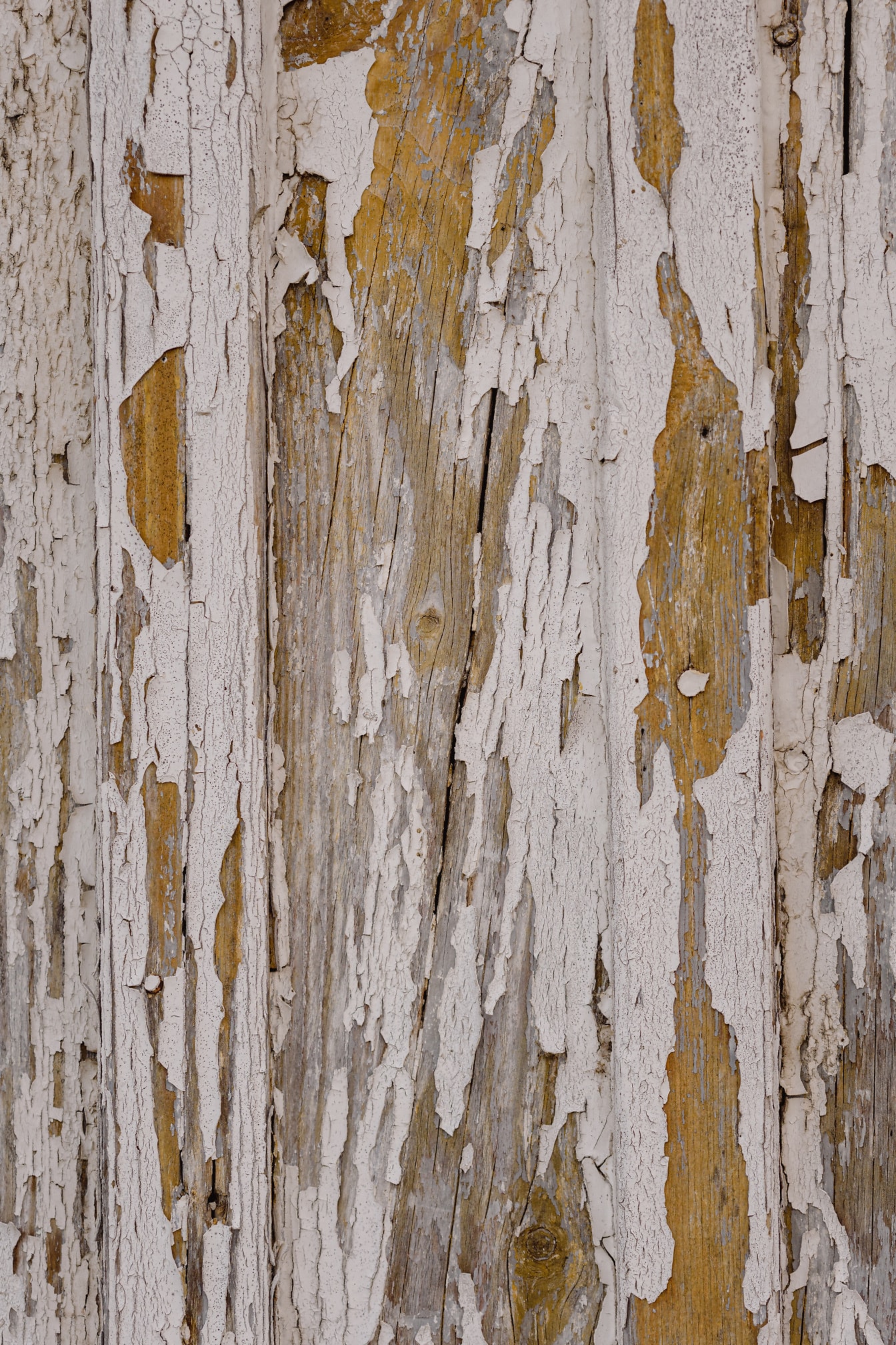 Old peeling white paint on wooden planks close-up pattern