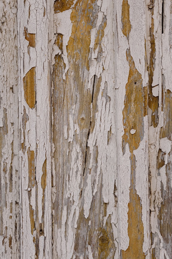 Gammel afskallet hvid maling på træplanker nærbillede mønster