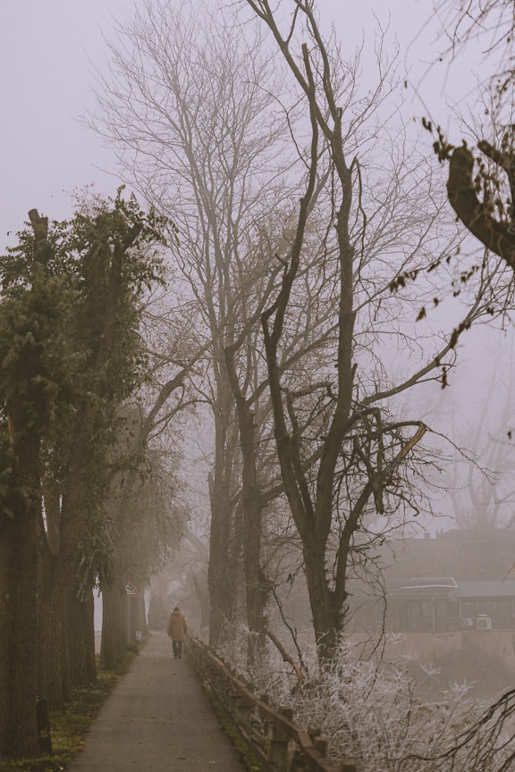 Osoba kráčející ve venkovské uličce v mlhavém podzimním dni