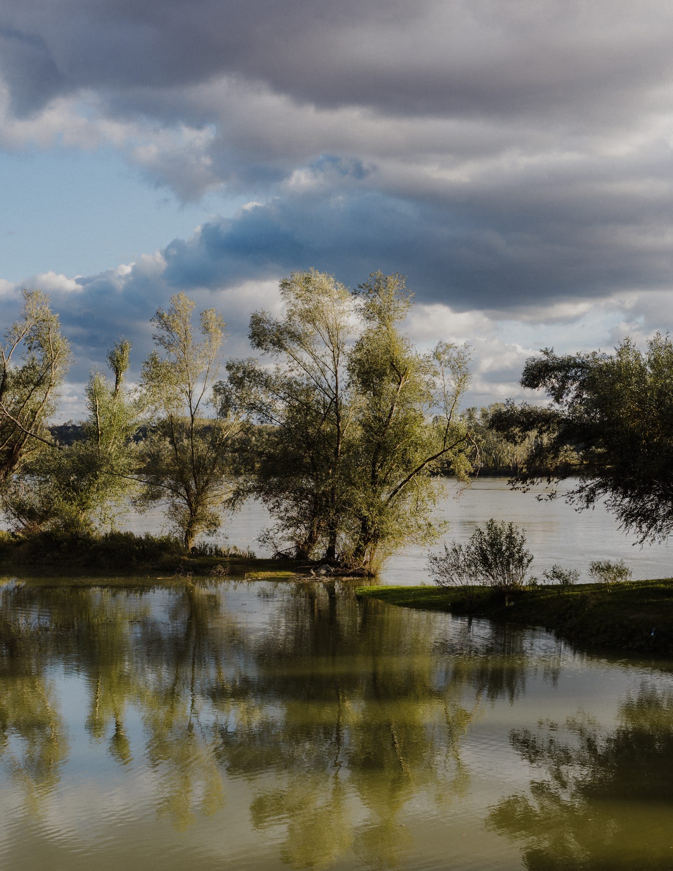 Vùng đồng bằng ngập nước trên bờ sông Danube vào mùa xuân