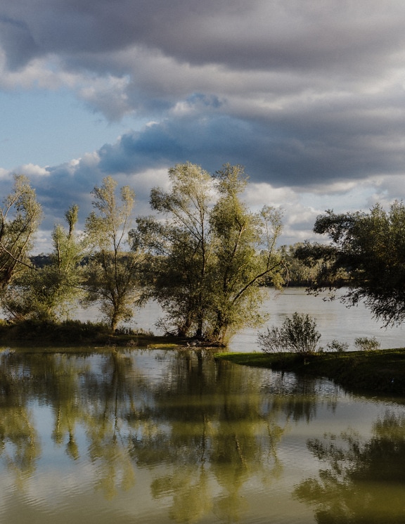 Luncă inundabilă pe malul Dunării primăvara