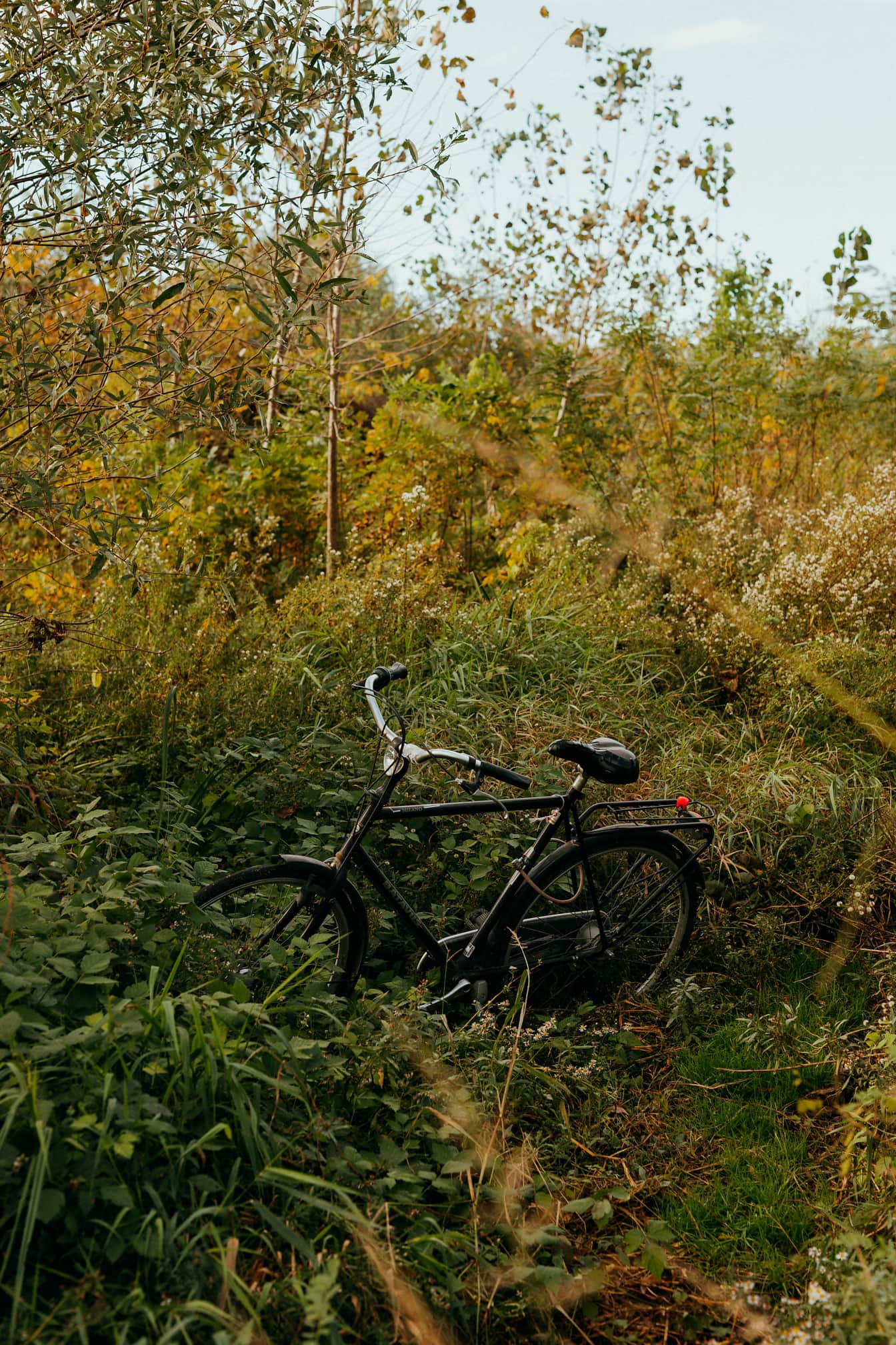 Bicicletta nera in piante di erba alta in campagna