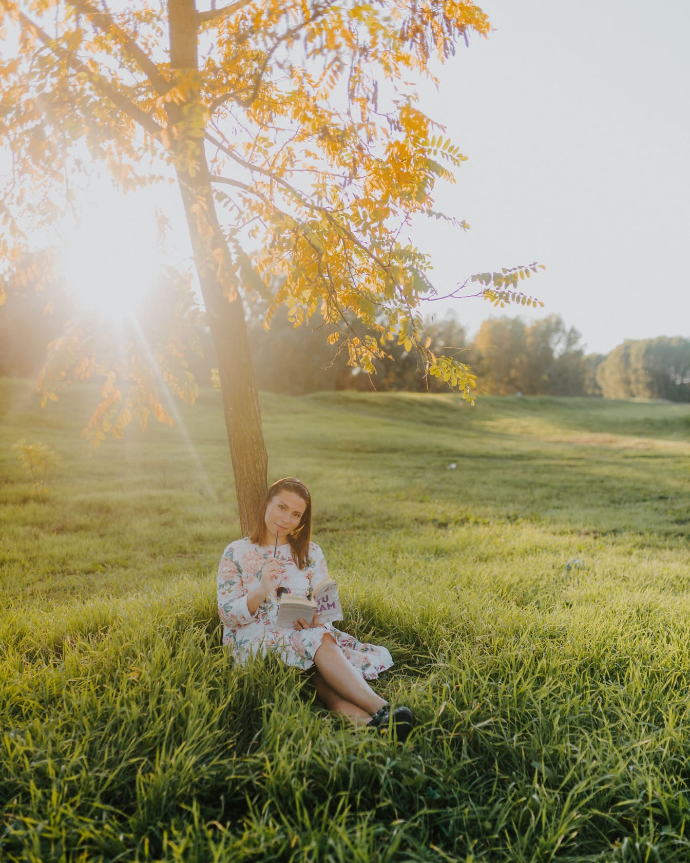 Привлекателна жена, седнала на поляна и четяща книга в слънчев ден