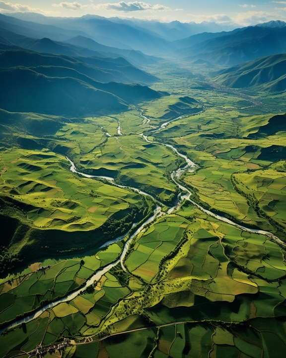 Зеленувато-жовті сільськогосподарські поля в долині: аерофотознімок