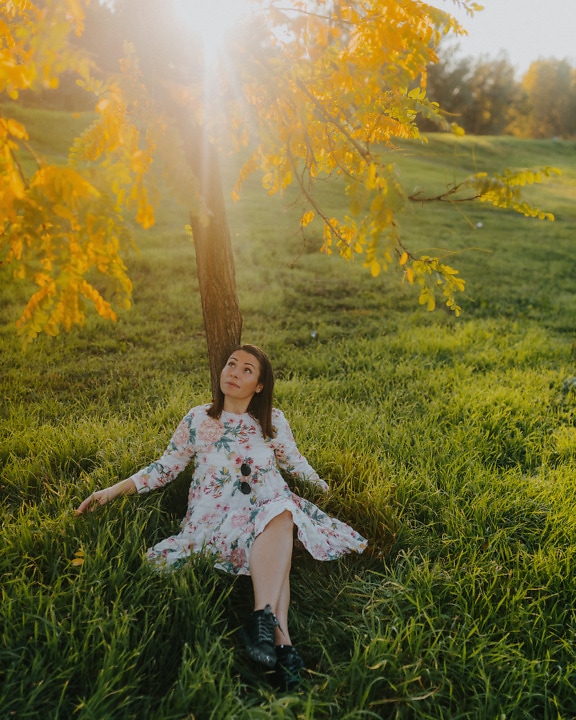 Cô gái tóc nâu ngồi dưới gốc cây tò mò nhìn lên vào ngày nắng