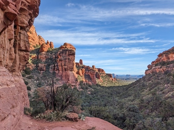 Panoramic view of desert valley with desert plants in Sedona natural park