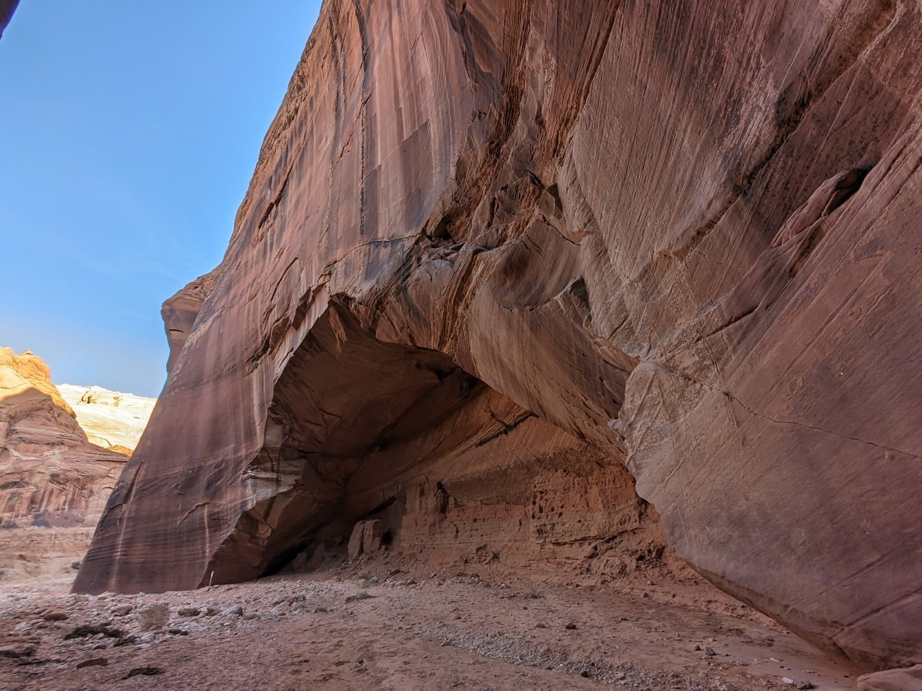 Скеля з коричневого пісковика зі слідами ерозії на стежці Бакскін-Галч