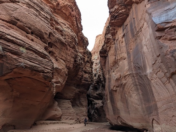 Brown narrow high cliffs in desert natural park