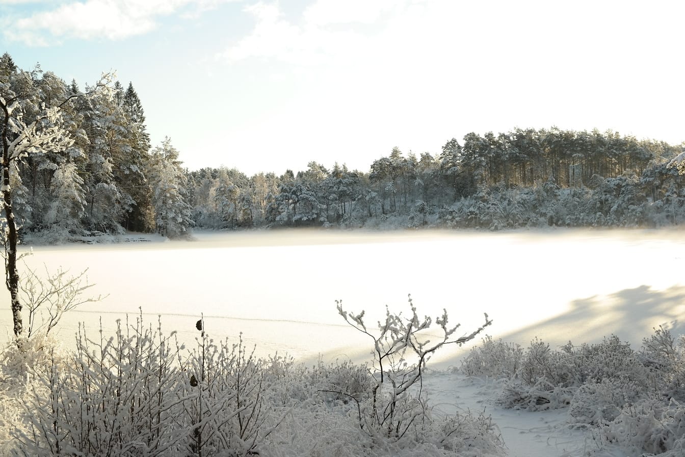 Зима през ноември в заснежен природен парк